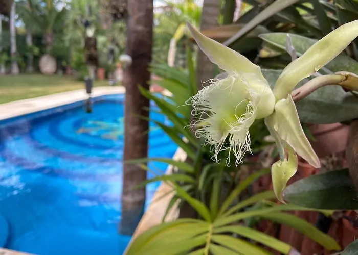 Villa Casa Jaguar